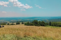 IMG20230729115755