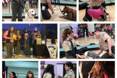 PetShow