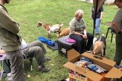 ILST Campout September 2019