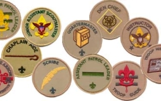 Troop Spring Elections