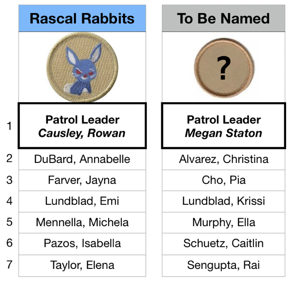 PastedGraphic-1.png PastedGraphic 1